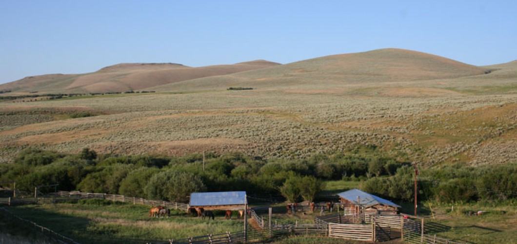 Patagonie (29)